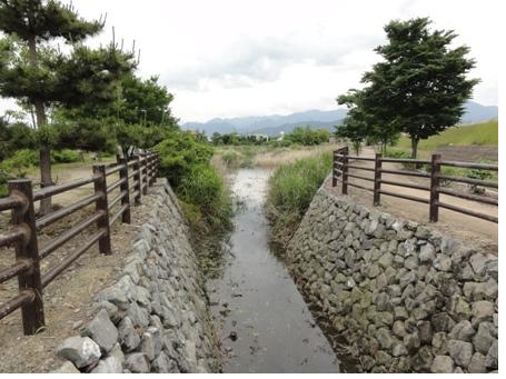 写真：清掃前（オランダガラシ除去後）