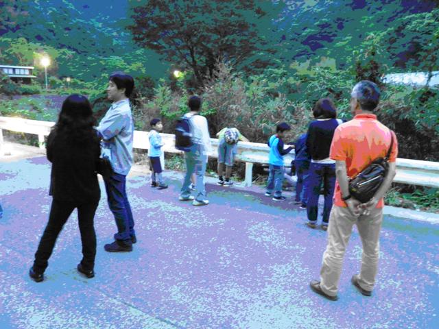写真：【思い思いに鳴き声を聴く】