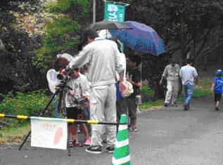 写真：【アオバズクの巣を観察】