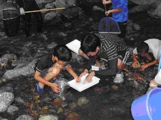 写真：【水中生物を観察】