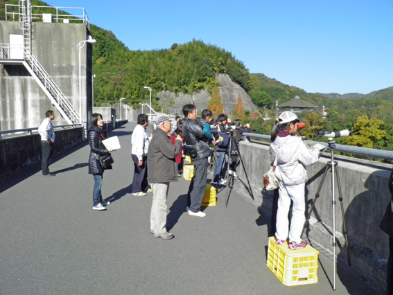 写真：【野鳥観察】