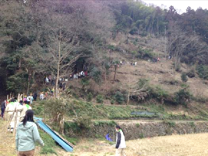 写真：【植樹場所へ移動】