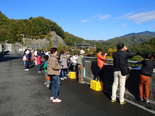 写真：【オシドリの観察】