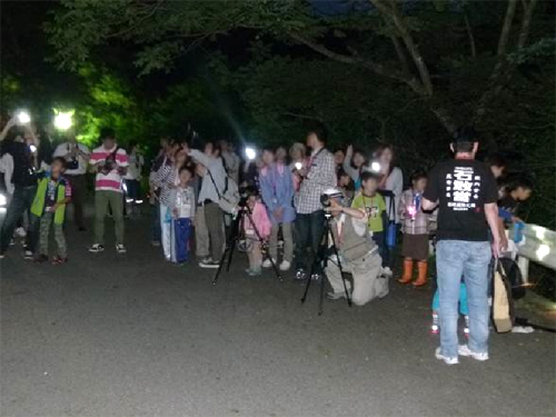 写真：【アオバズクの巣を観察】