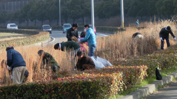 写真：【おもてなしの心をこめて、ゴミ拾いや除草に汗を流す参加者】