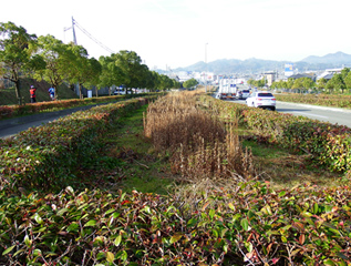 写真：【清掃前】