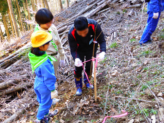 写真：【共同体験よる植樹作業】