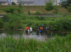 写真：【再生された広瀬霞の散策】