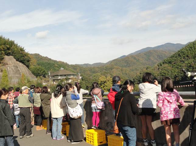 写真：【オシドリの観察】