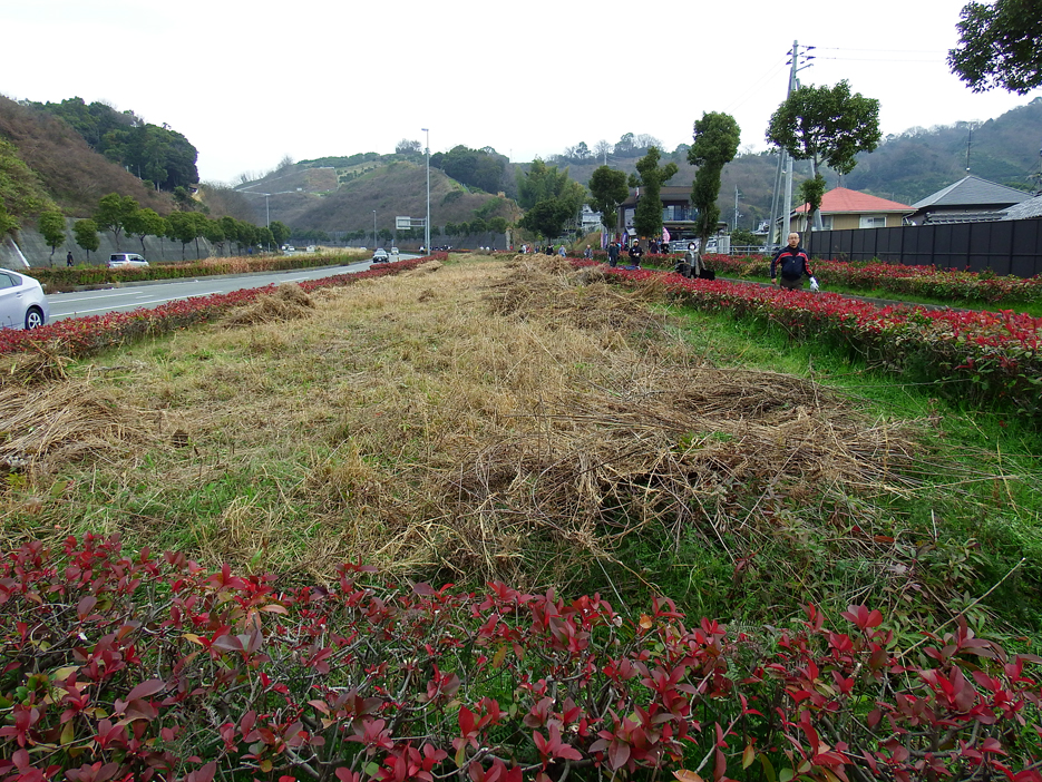 写真：【清掃前】