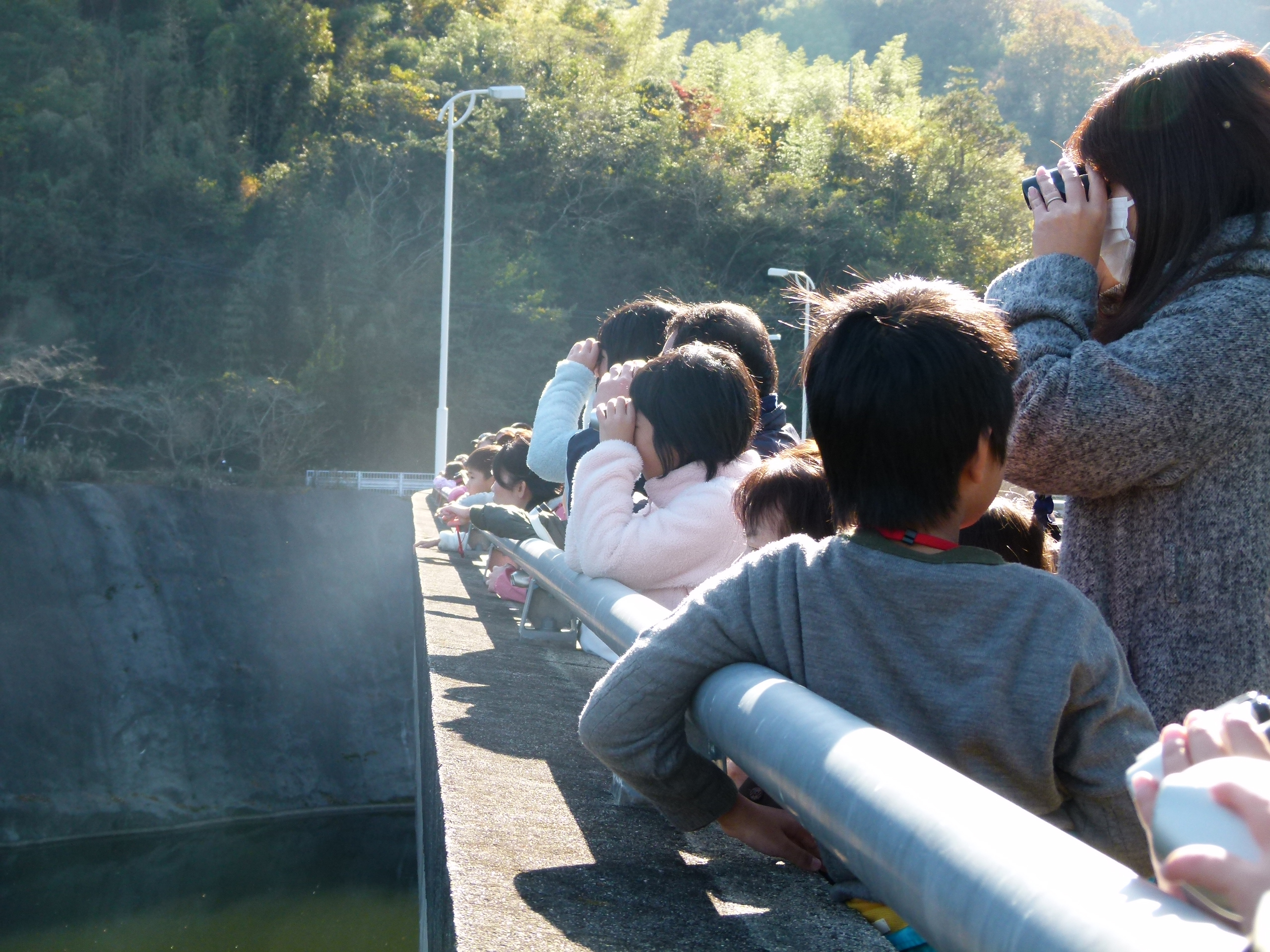 写真：【観察】