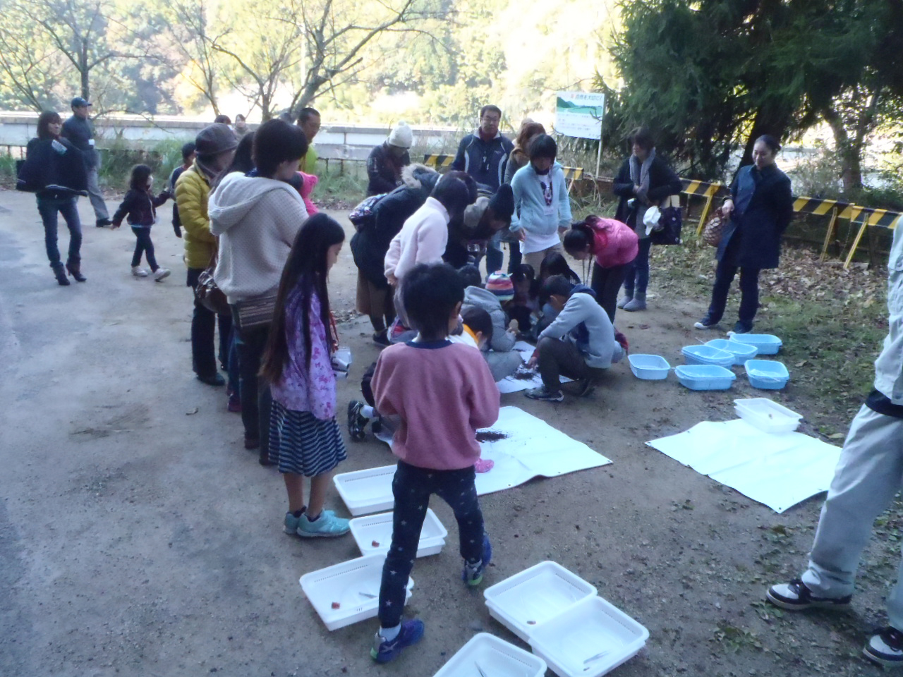 写真：【観察】