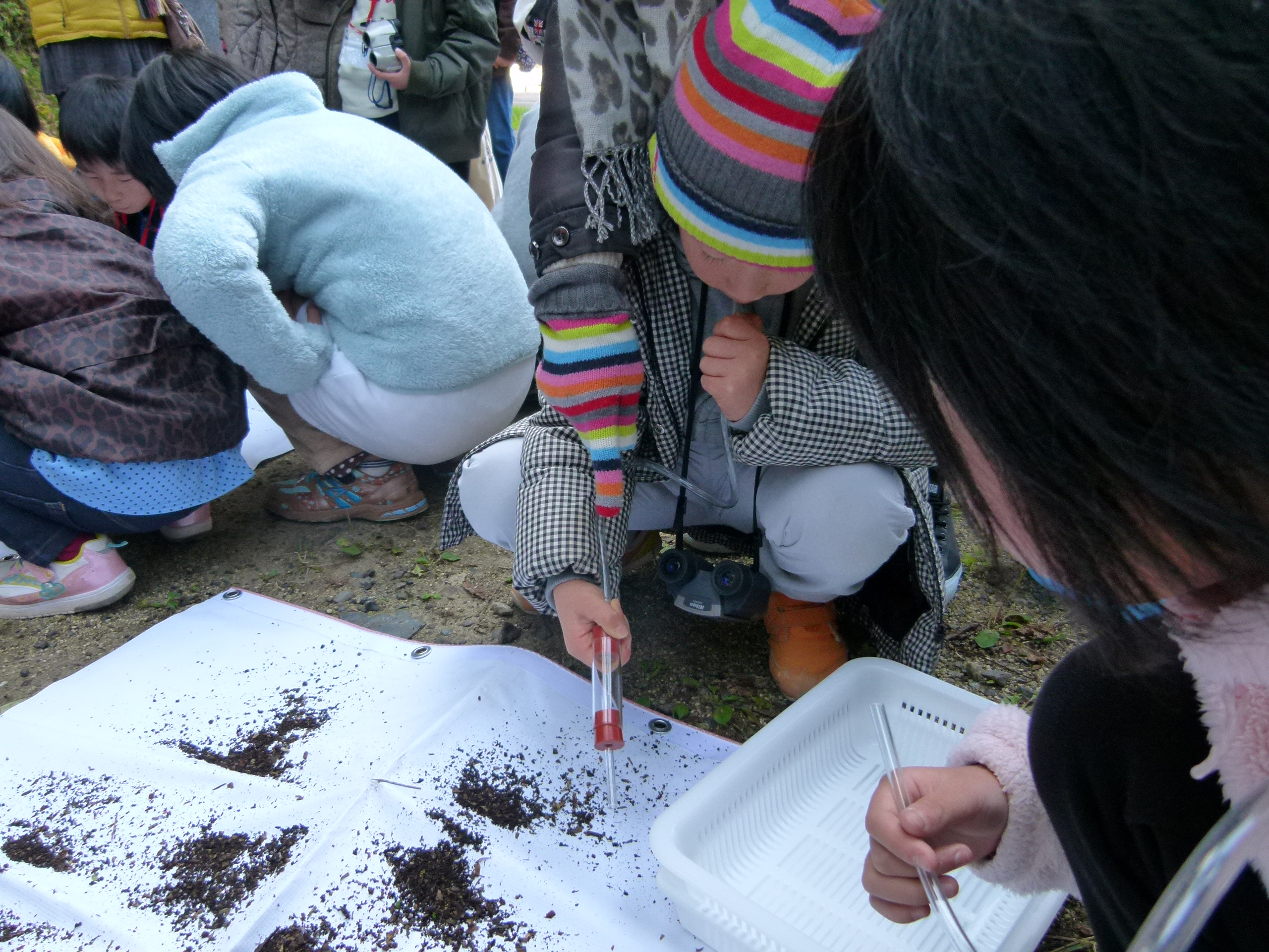 写真：【吸虫管を使って小さな虫を探して捕まえます。 】