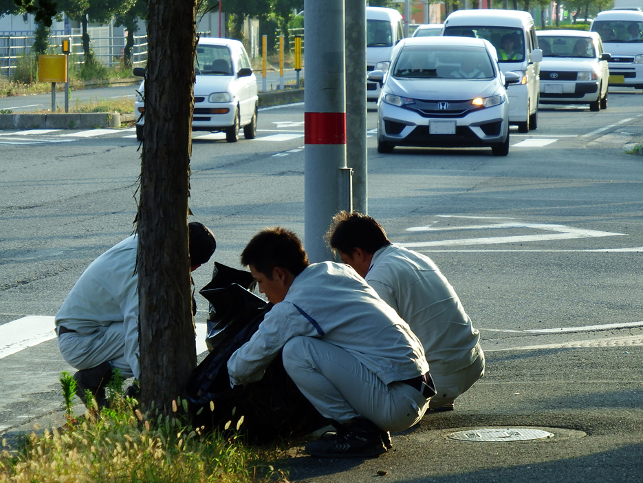 写真：【国道５６号　松山中央公園付近】