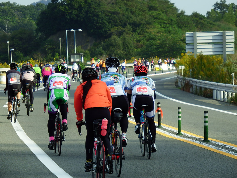 写真：【大島バス停付近にて】