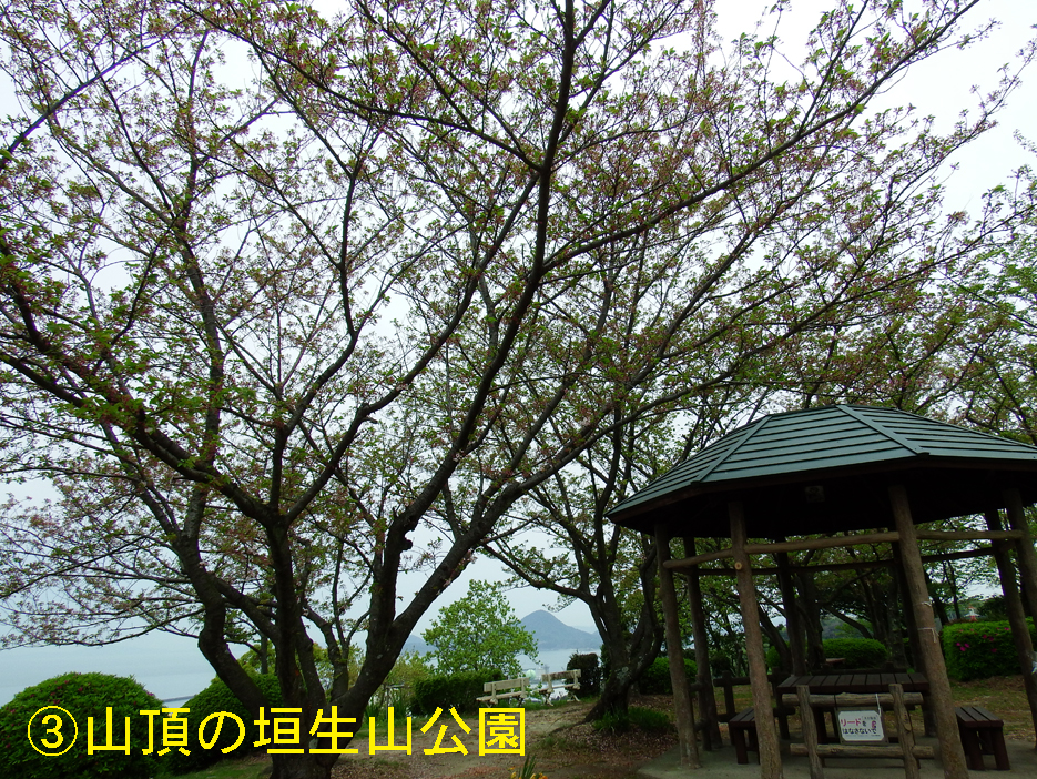 写真：【垣生山公園】