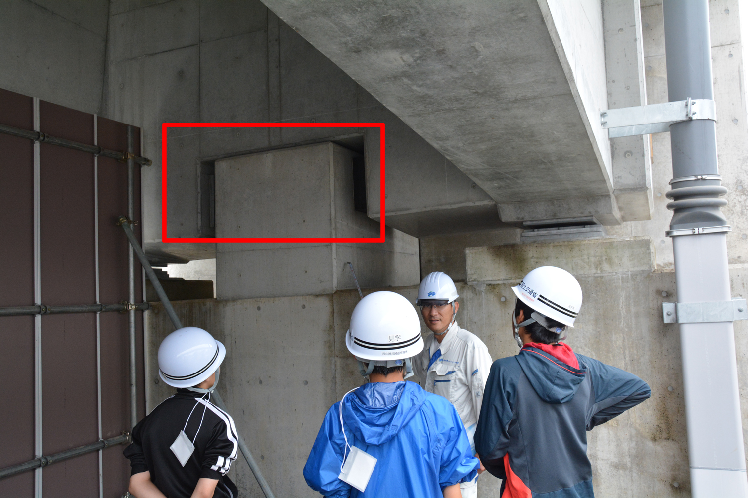 写真：【見学】