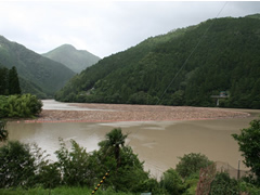 流木止め(本川)