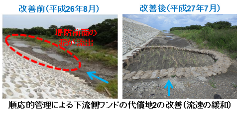 下流側ワンド