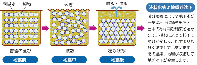 説明図 地震前=間隙水と砂粒は普通の並び→地震中=拡散→地震後=噴水・噴水 砂は密な状態に → 液状化後に地盤が沈下 噴砂現象によって地下水が一気に地上に噴き出ると、土中の砂は再び結束を始めます。揺れによって粒子の並びが変わり、以前よりも硬く結束してしまいます。その結果、地層が収縮して地盤沈下が発生します。