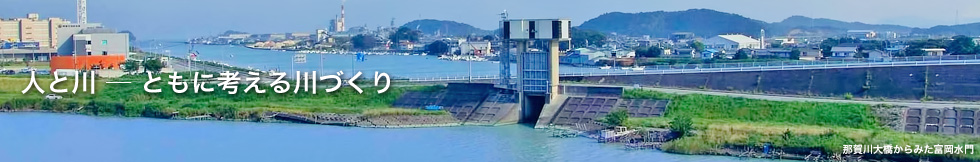 那賀川大橋から見た富岡水門