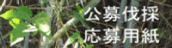 四万十川ゴミマップ