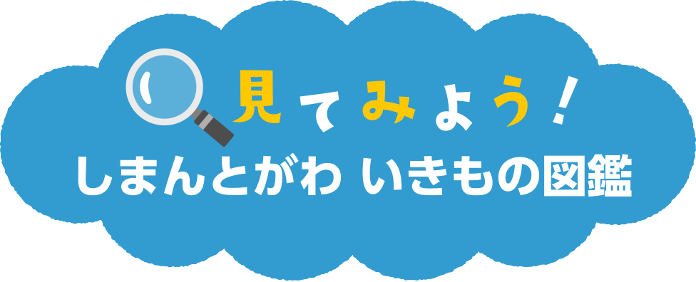 しまんとがわ　いきもの図鑑