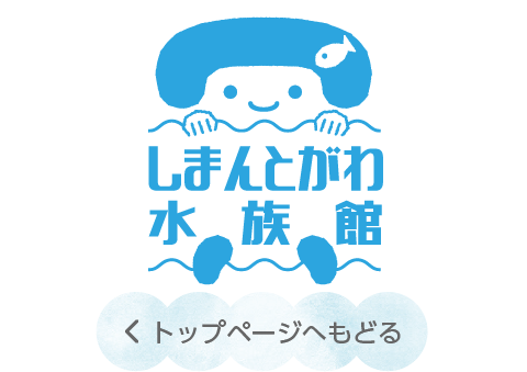 しまんとがわ水族館