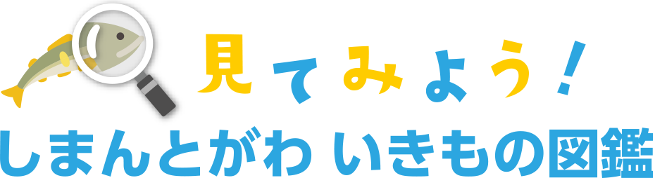 しまんとがわ　いきもの図鑑