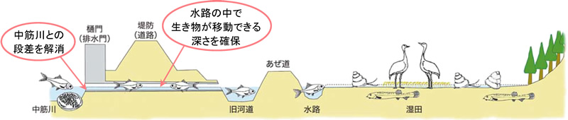 樋門の段差解消の整備イメージ