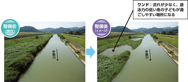 整備イメージ（中山箇所、森沢箇所、間箇所をつなぐ中筋川）