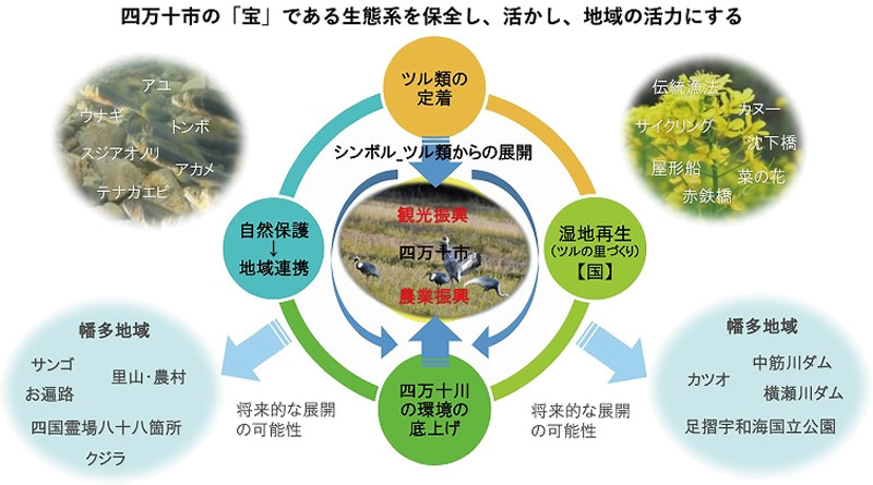 四万十川流域生態系ネットワークのイメージ