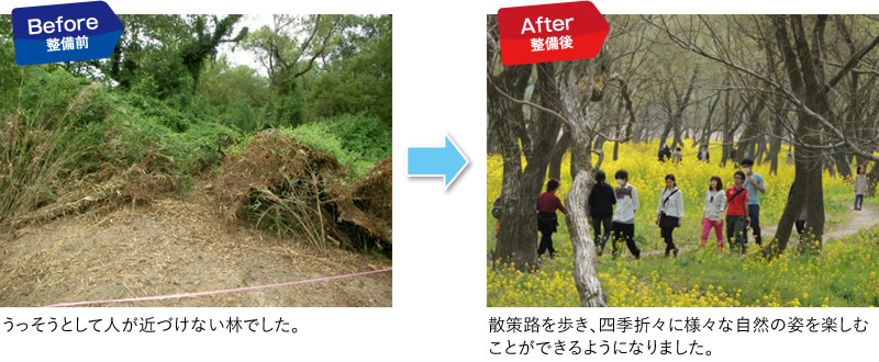 入田地区の河畔林の整備前後