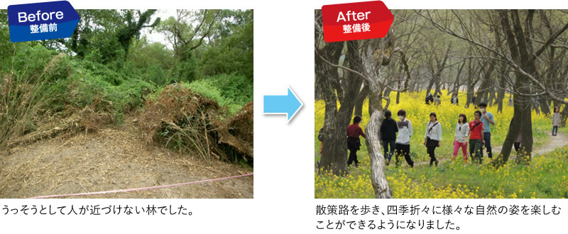 入田地区の河畔林の整備前後