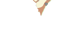 n}C[W5