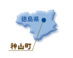 ʒu