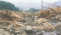 土石流発生後のえん堤堆砂敷（砂防えん堤に大量の土石と流木が堆積）