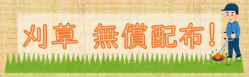 枯草無償配布中！
