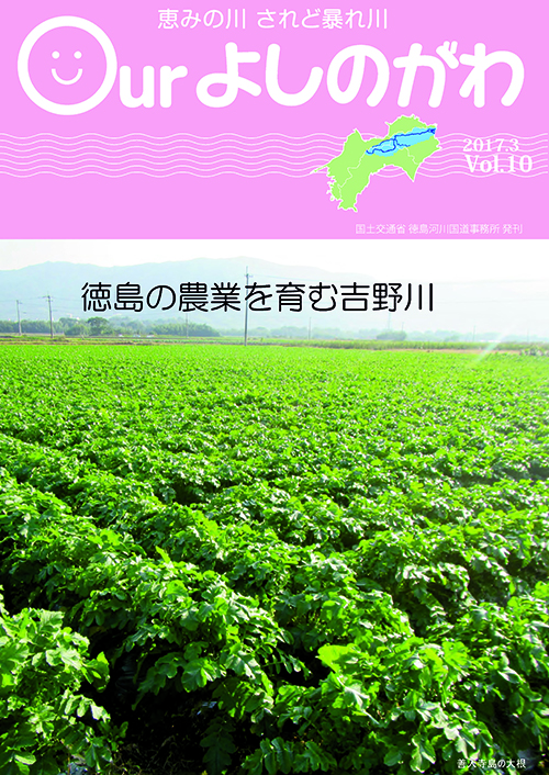 Vol.10表紙