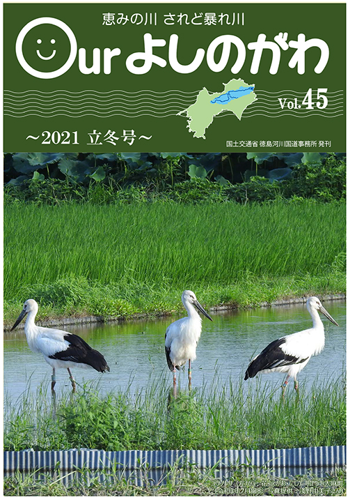 Vol.46表紙