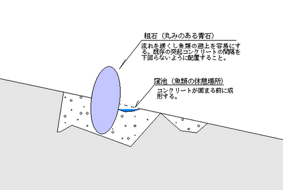}R@eΕtRN[gɂC