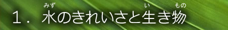 ̂ꂢƐ 