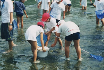 水生生物調査2