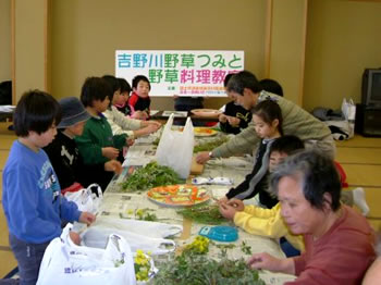 野草を選別