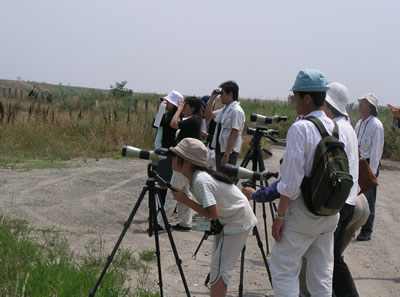 �F����^���ł��B