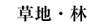 nE