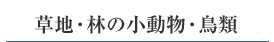 nEт̏E
