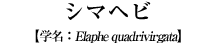V}wr