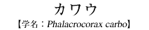 JE