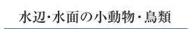ӁEʂ̏E